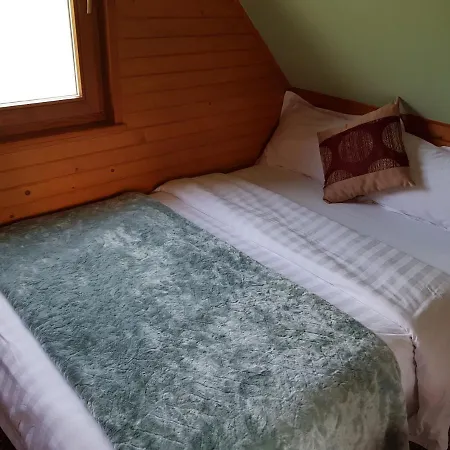 Orman Evi Winter & Summer - *