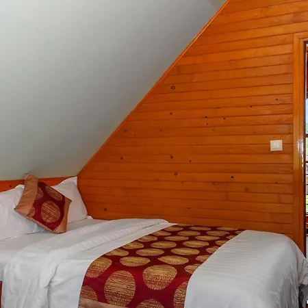 Winter & Summer - Orman Evi *